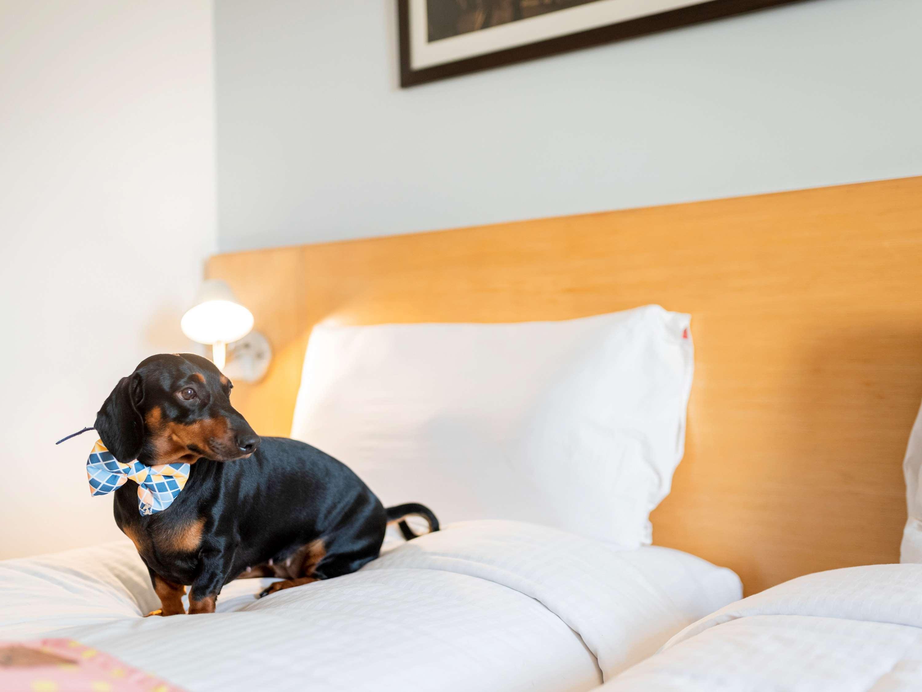 Ibis Kochi City Centre - An Accor Brand Екстериор снимка